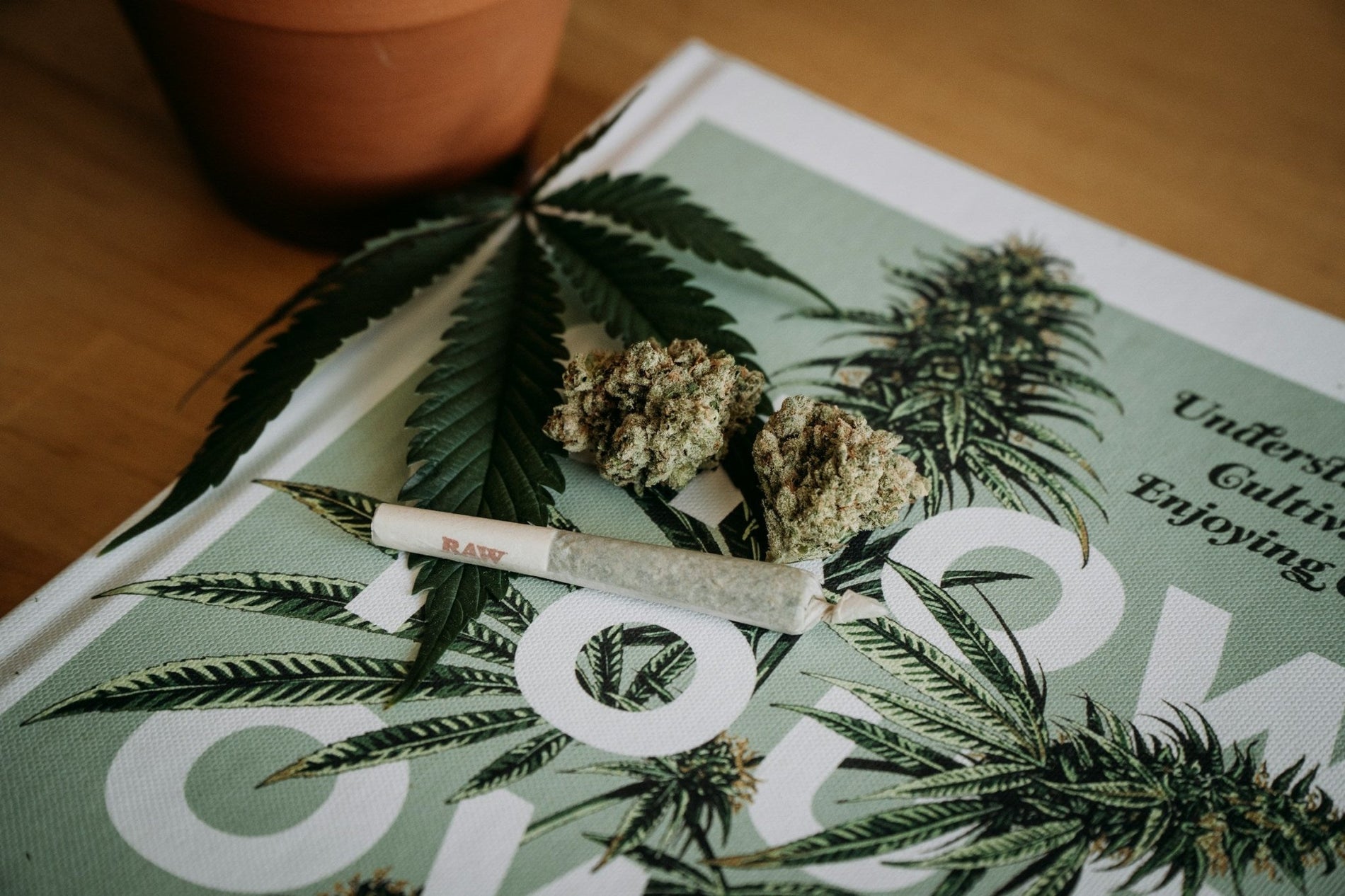 How to Prepare Marijuana Buds - Gamut Packaging