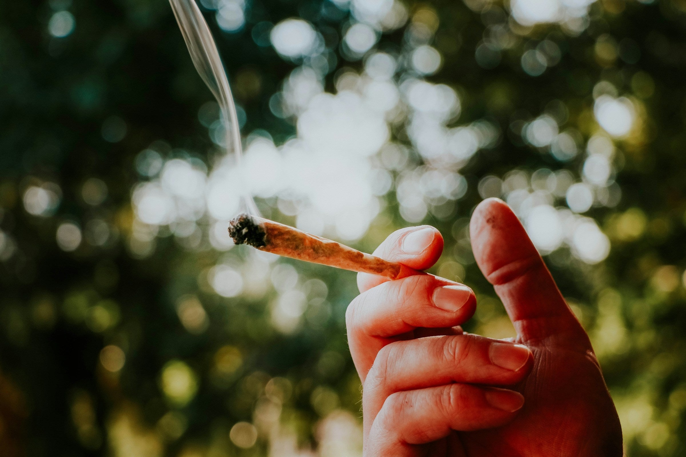Can Cops Smoke Marijuana in Colorado? - Gamut Packaging