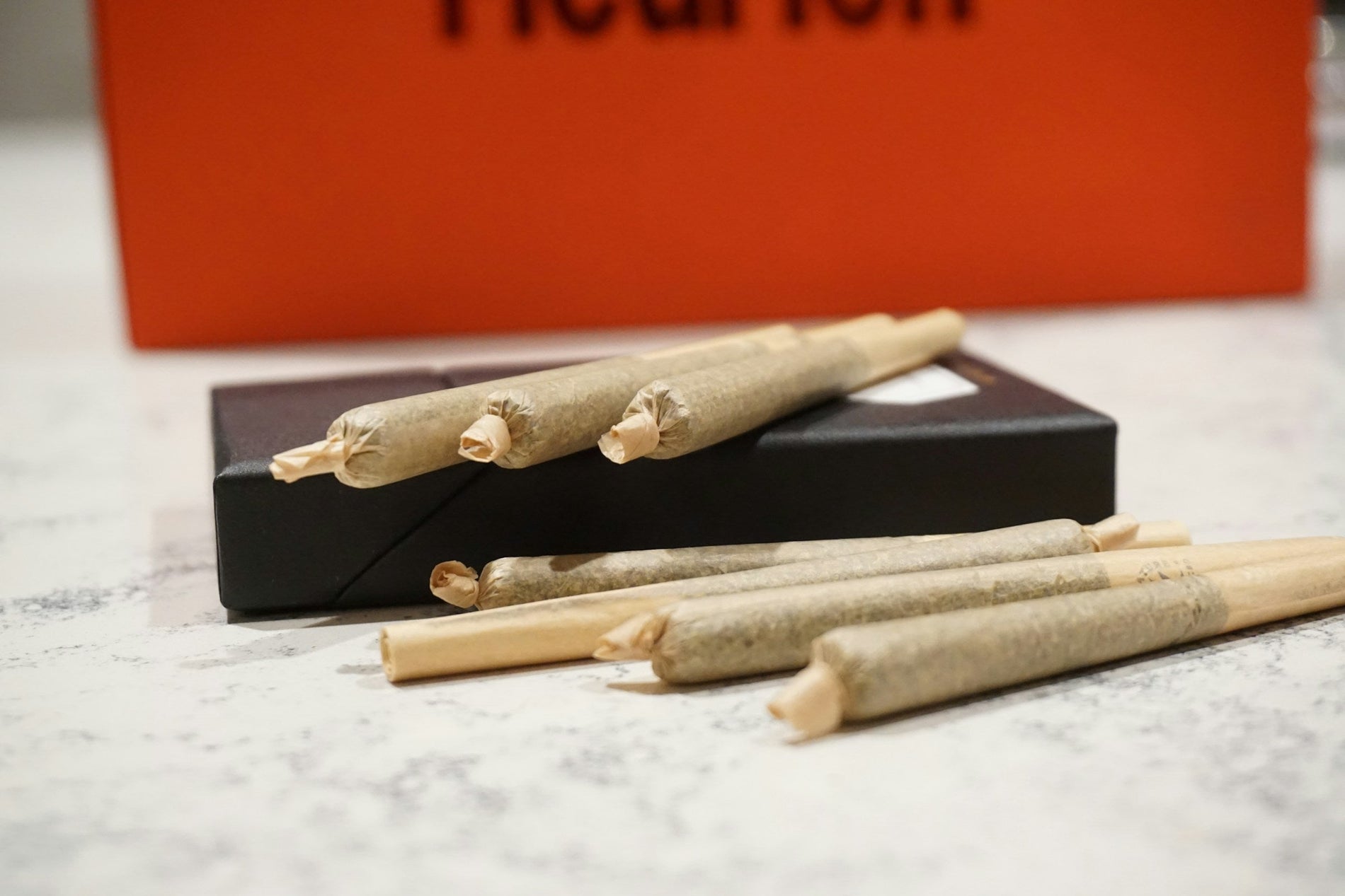How to Tell a Male from a Female Marijuana Plant - Gamut Packaging
