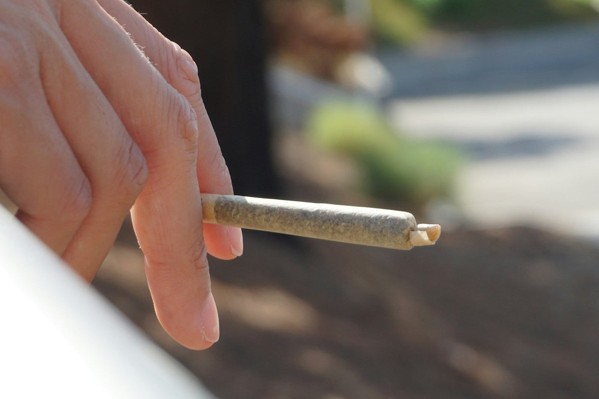 How Long Can You Keep Marijuana - Gamut Packaging