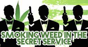 Smoking Weed May Not Disqualify You From a Secret Service Position - Gamut Packaging