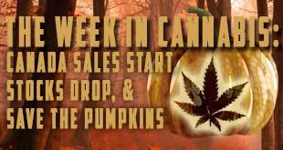 The Week in Cannabis: Canada Sales Start, Stocks Stumble & Save the Pumpkins - Gamut Packaging