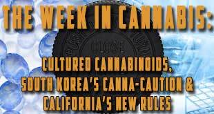 The Week in Cannabis: South Korea’s Cannabis Caution, Cultured Cannabinoids, & California’s New Rules - Gamut Packaging