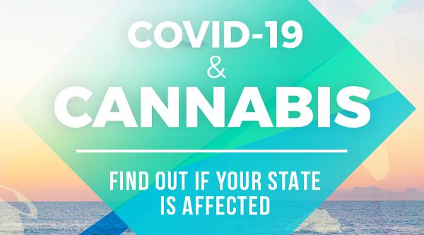 These States Classify Cannabis Businesses "Essential" During COVID-19 - Gamut Packaging