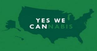 Washington D.C., Oregon, and Alaska Vote "Yes" on Marijuana Legalization - Gamut Packaging