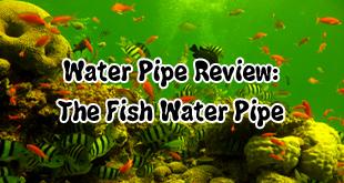 Water Pipe Review: There's Something Fishy About This Pipe - Gamut Packaging