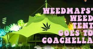 Weed Tent Sponsored by WeedMaps to Set Up Opposite Coachella - Gamut Packaging