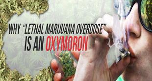 Why "Lethal Marijuana Overdose" Is an Oxymoron - Gamut Packaging