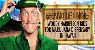 Woody Harrelson Bids For Marijuana Dispensary In Hawaii - Gamut Packaging