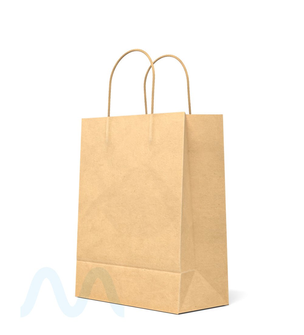 Kraft Paper Shopping Bags w/ Handles | 10in x 8in - Brown - 250 Count - 2