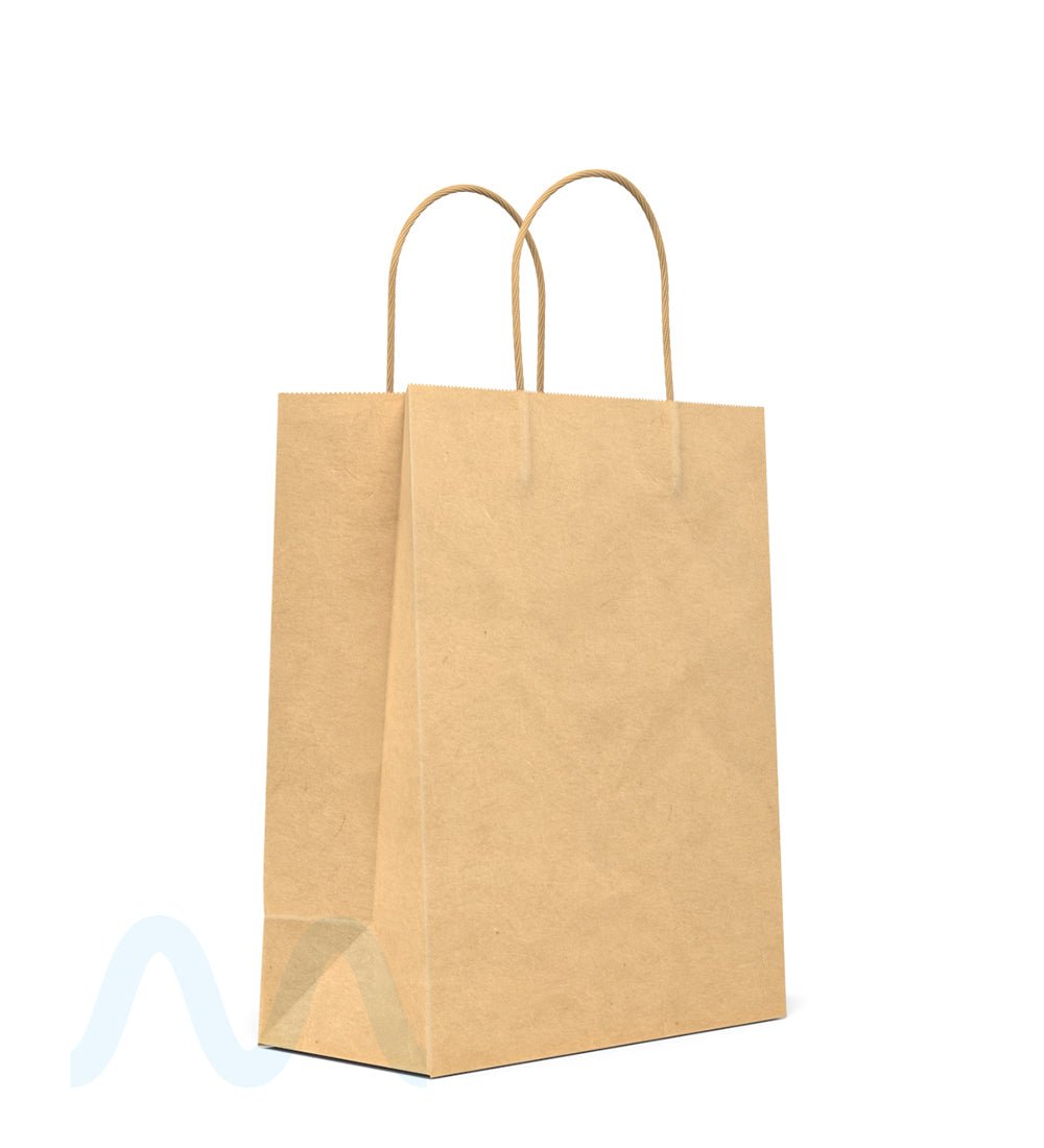 Kraft Paper Shopping Bags w/ Handles | 10in x 8in - Brown - 250 Count - 3