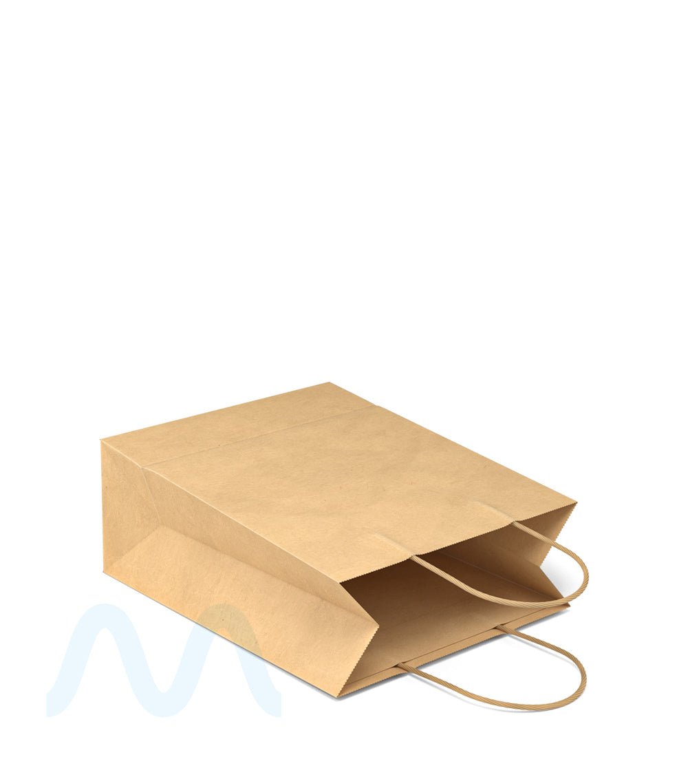 Kraft Paper Shopping Bags w/ Handles | 10in x 8in - Brown - 250 Count - 4