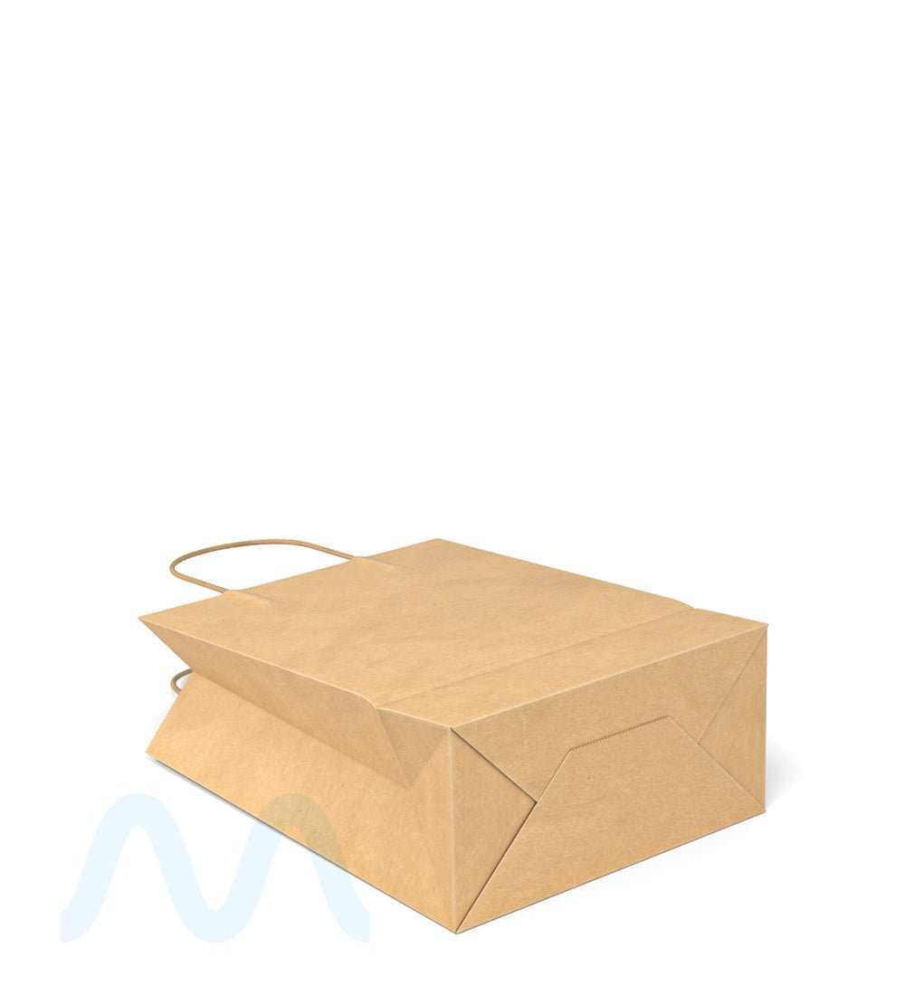 Kraft Paper Shopping Bags w/ Handles | 10in x 8in - Brown - 250 Count - 5